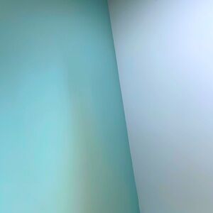 Meet your Posher, Gabrielle